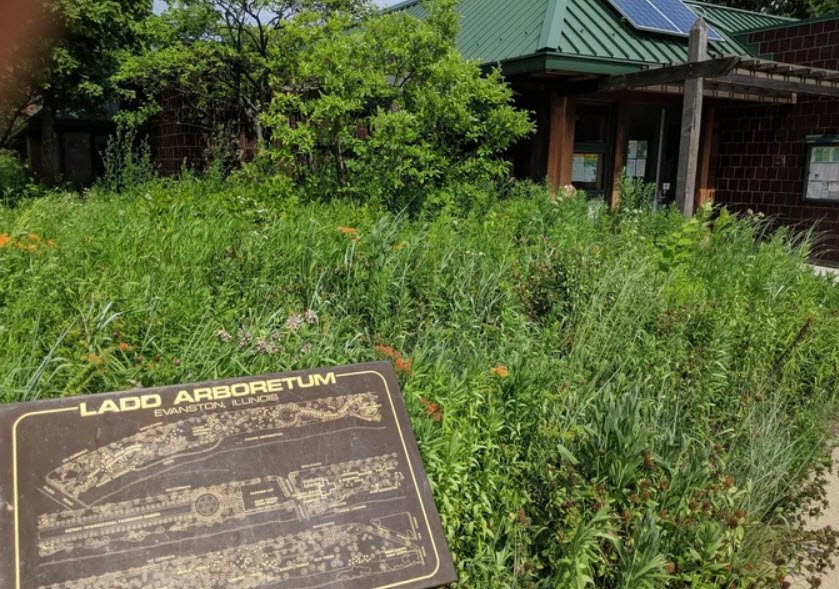 Ladd Arboretum, United States